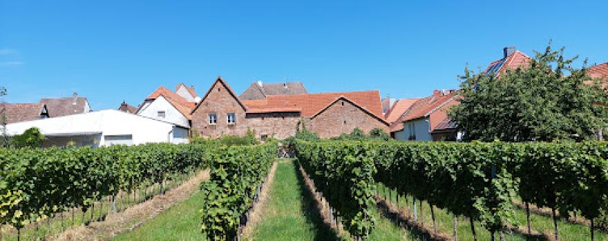 Südfrüchtegarten
