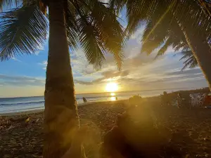 Playa Junquillal