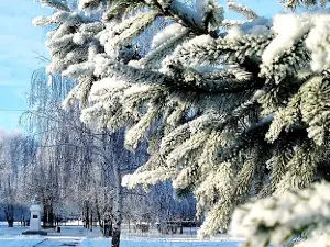 Park Im. S.yulayeva