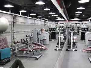 Titanium Shark Gym