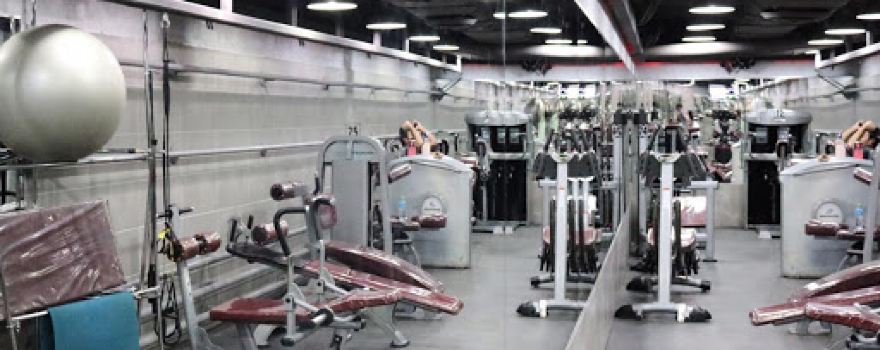 Titanium Shark Gym