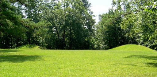 Bynum Mounds