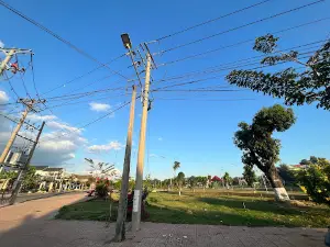 Mango Park
