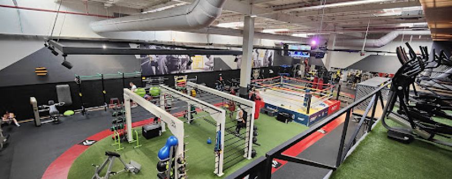 Fitness UP Auchan Maia