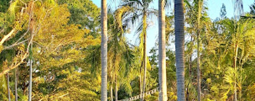 BIG4 Breeze Holiday Parks - Katherine