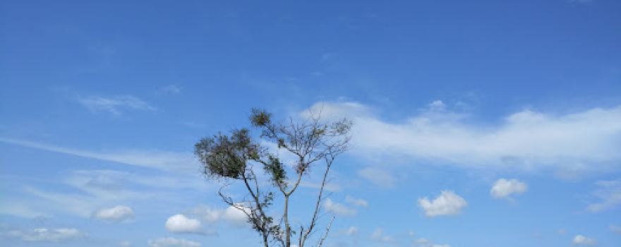Monumen 10 Program Pokok