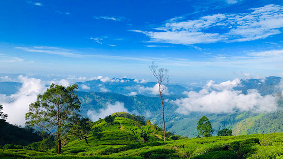 Ratnapura