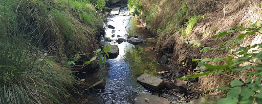 Stanney Brook Park