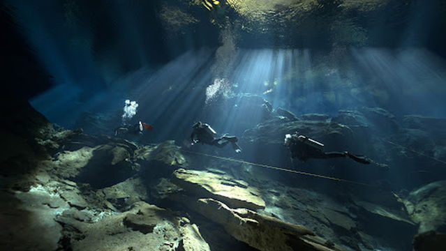 Jaguar Divers - Dive Shop in Playa del Carmen