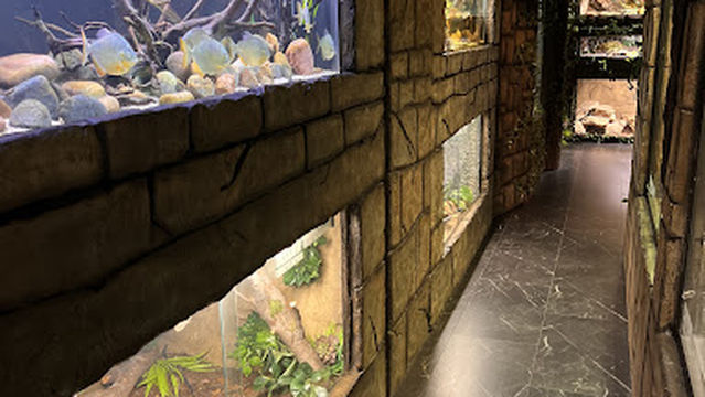 The Reptarium - Wichita's Reptile Zoo