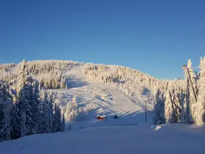 Rena Alpin and Ski