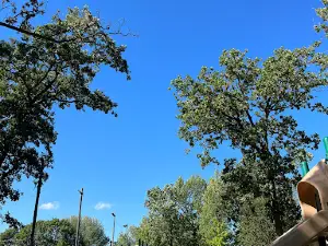 Veterans Memorial Park