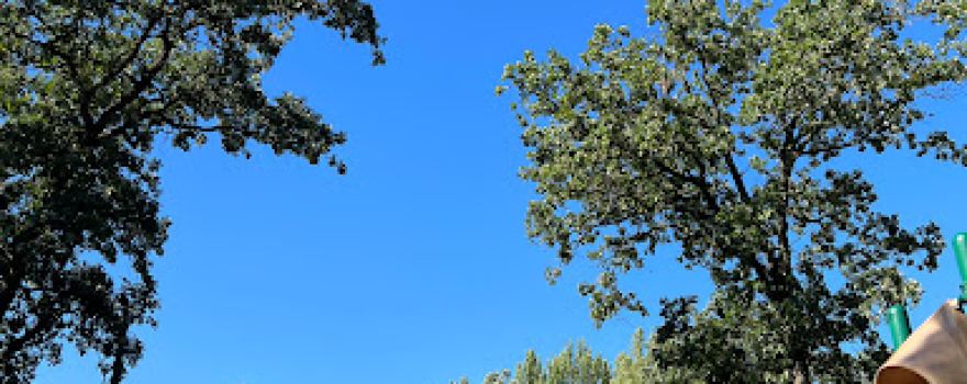 Veterans Memorial Park