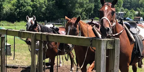 Red Arrow Stables Inc