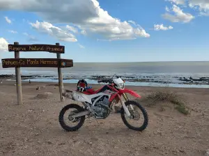 Reserva, Pehuen Co, Buenos Aires