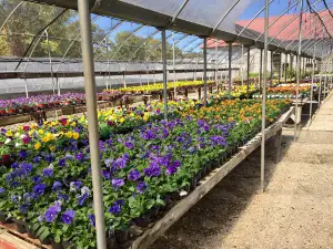 Reseda Nursery & Stone Yard
