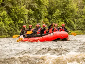 Propulsion Rafting
