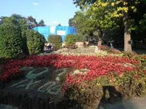 Zegar kwiatowy