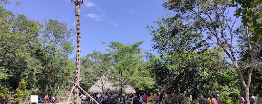 voladores de tamaleton