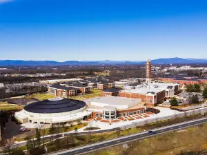 Vines Center