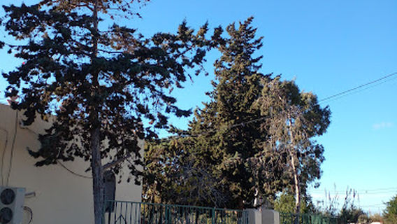 Vielle Mosquée de Bou-Sfer - المسجد العتيق