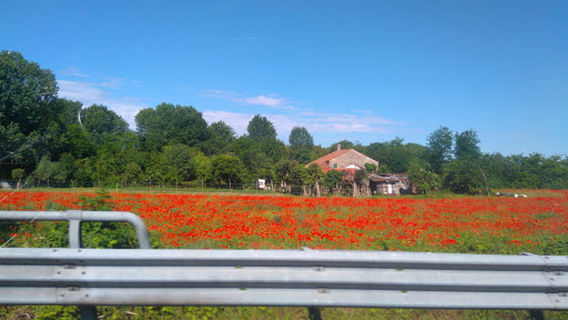 Noventa Padovana
