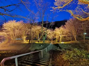 Kotohirasakura Park