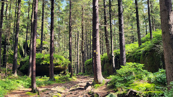 Studánka Pod Velkou kupou