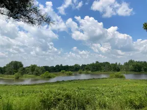 Stage's Pond State Nature Preserve