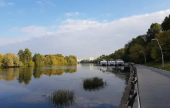 Пляж в Филёвском парке