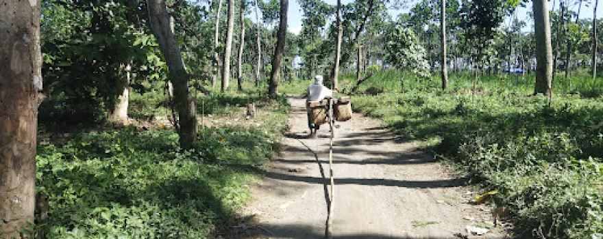 Cagar Alam Manggis Gadungan (Alas Simpenan)
