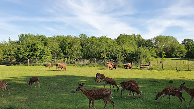باغ ملی فسا