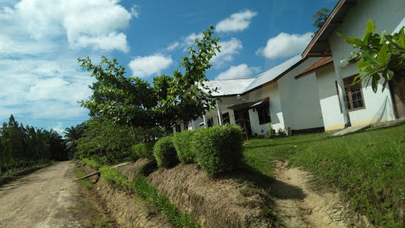 Divisi Alfa PT. Musirawas Citraharpindo