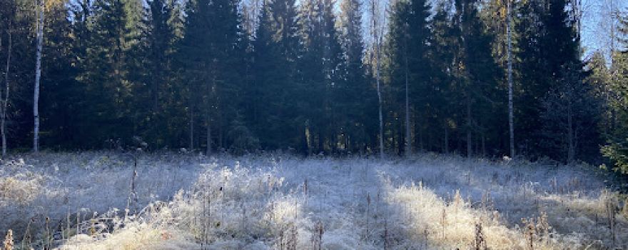 Mjällådalens naturreservat