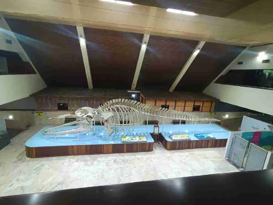 5_Sabah State Museum
