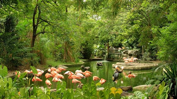 Parque de la Conservación