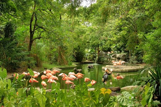 Parque de la Conservación