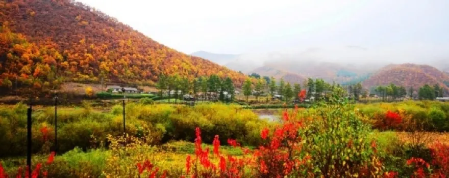 hong hu lv you qu
