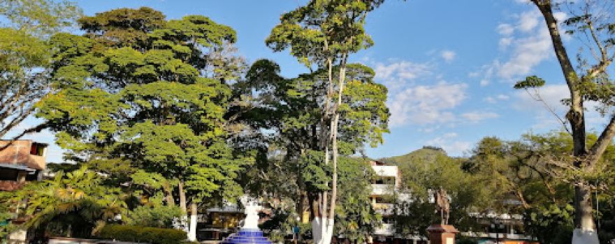 Parque Principal San Carlos
