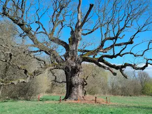 Parchoviansky park