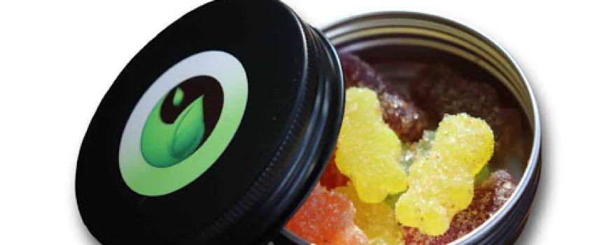Rias Hippy Health