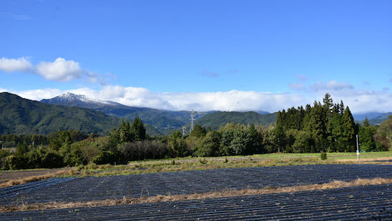 Numata
