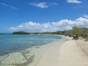 La Jungla Beach