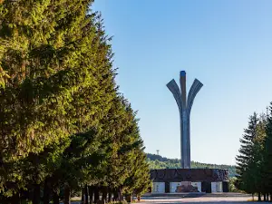Monument Pervootkryvatelyam Nefti Tatarstana