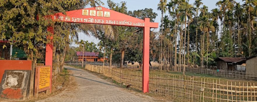 Shree Shree Durga Phuleshwari Matrir Than