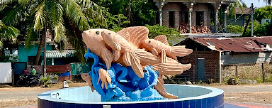 Singing Fish Park