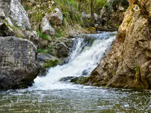 Tureni Gorge