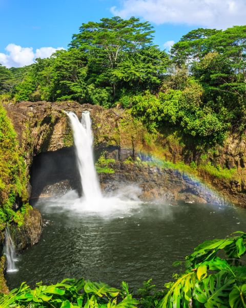 Alexandria to Hilo Flights