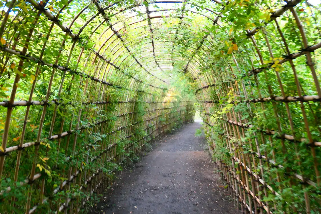 Hotel in zona Mukojimahyakkaen