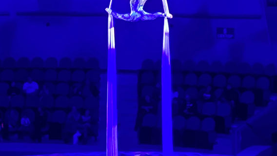 Vladivostok Circus